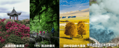 <strong>托管公寓41-43㎡项目位于百里杜鹃城区</strong>